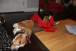 resIMG_20110220_5027.JPG
